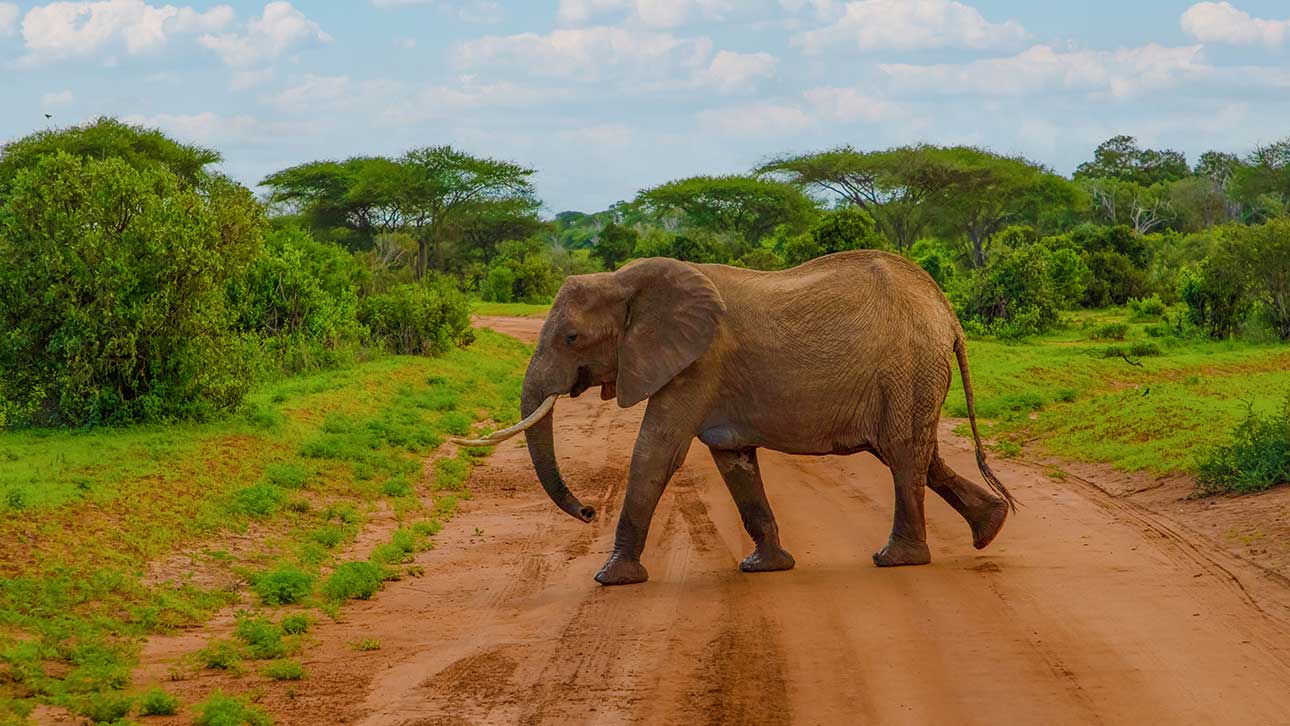 Africa in 2026 – Why Travel Vloggers Are Filming There in Record Numbers, and Which Destinations Are Hottest?